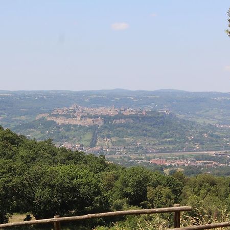 Agriturismo Fattoria Poggio Boalaio Orvieto Exterior foto