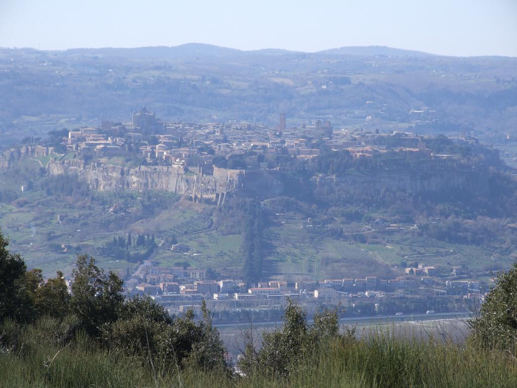 Agriturismo Fattoria Poggio Boalaio Orvieto Exterior foto