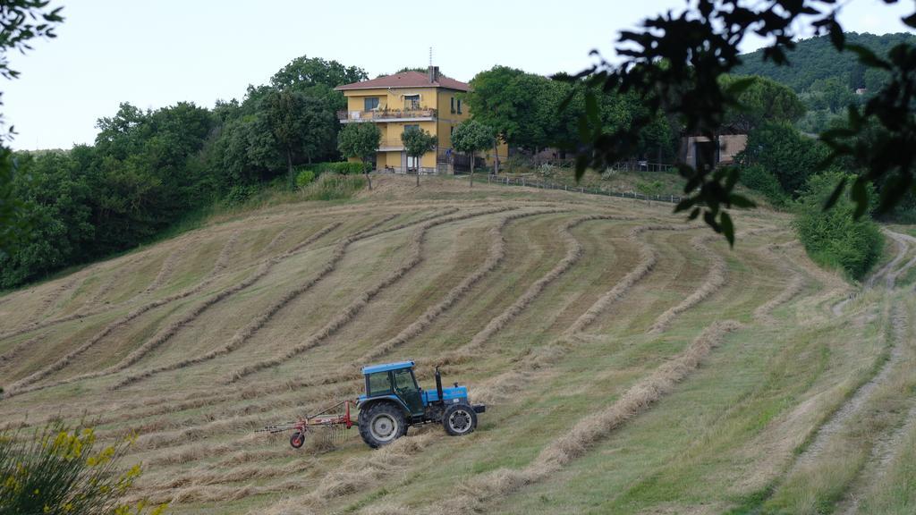 Agriturismo Fattoria Poggio Boalaio Orvieto Exterior foto