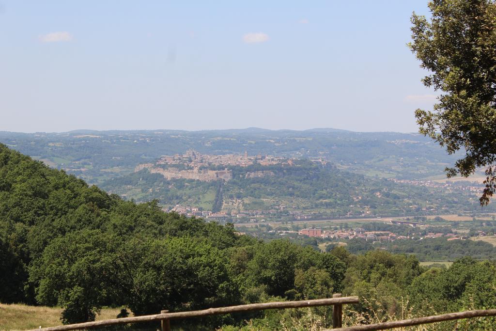 Agriturismo Fattoria Poggio Boalaio Orvieto Exterior foto