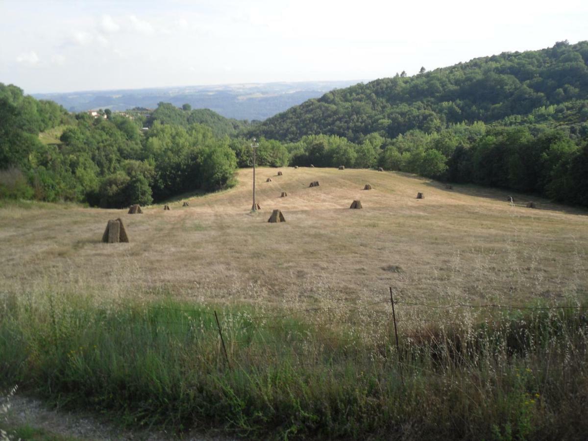 Agriturismo Fattoria Poggio Boalaio Orvieto Exterior foto